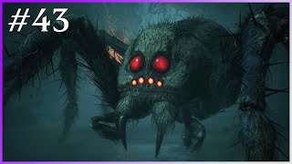 Famous ARANSHIRE - Hogwarts Legacy #43 - Hard - No Damage - No Commentary Profile