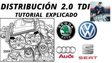 🟢 COMO CAMBIAR  DISTRIBUCIÓN 2.0 Tdi 🟢TUTORIAL,🆗Passat,  VAG VW SEAT AUDI SKODA TIMING BELT