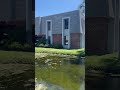 #urbanplanning #florida #humor