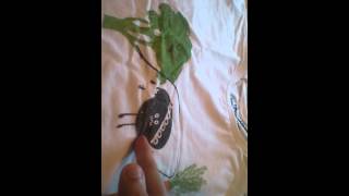 Famous Threadless t-shirts Wealth