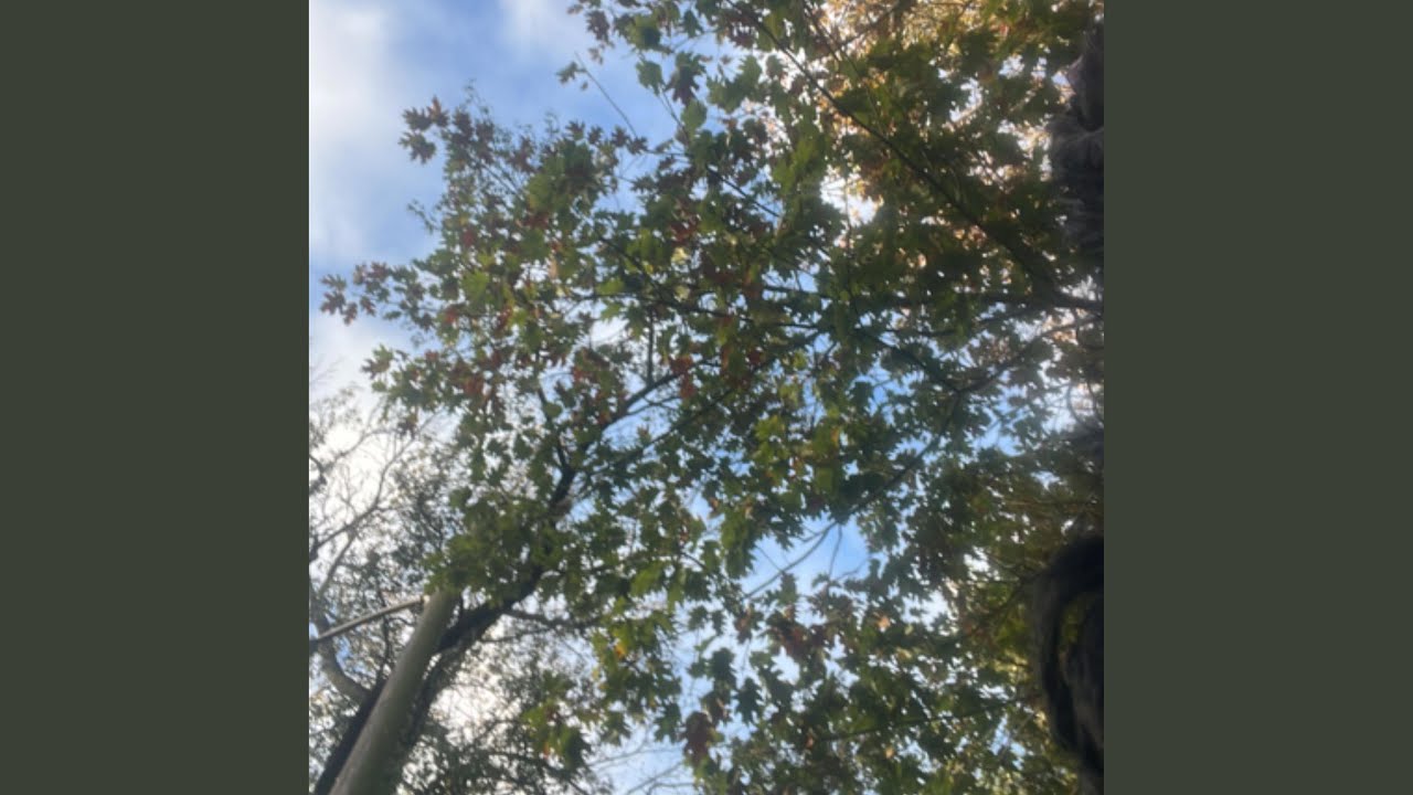 Regardez Inspiration sur YouTube Regardez Inspiration sur YouTube