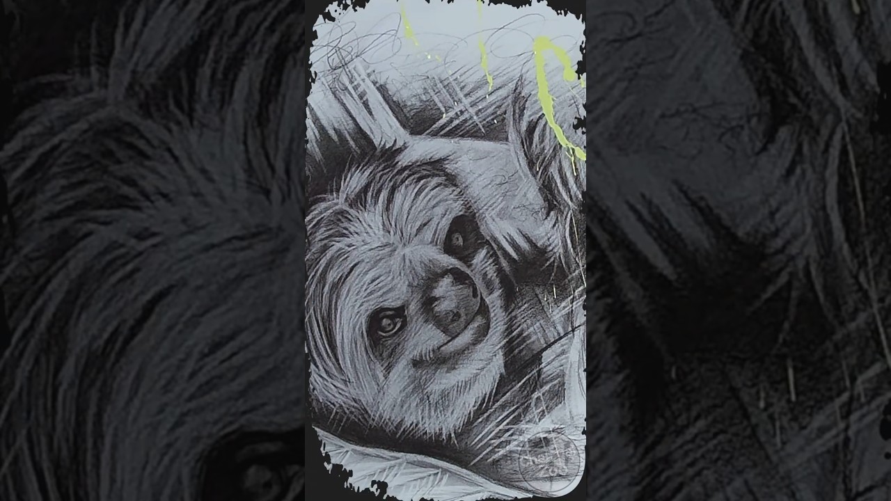 Sloth Charcoal Portrait – Finished with Yellow Acrylic Splash - Happy Wildlife Art