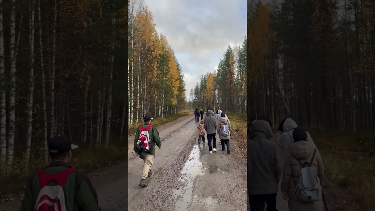 A trip to Patvinsuo national park 👌