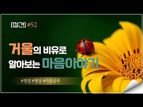 [정견] #54. 거울의 비유로 알아보는 마음이야기