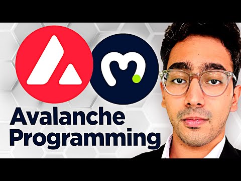 Build Avalanche Dapp in 5 Minutes [Wallet Tracker Tutorial]