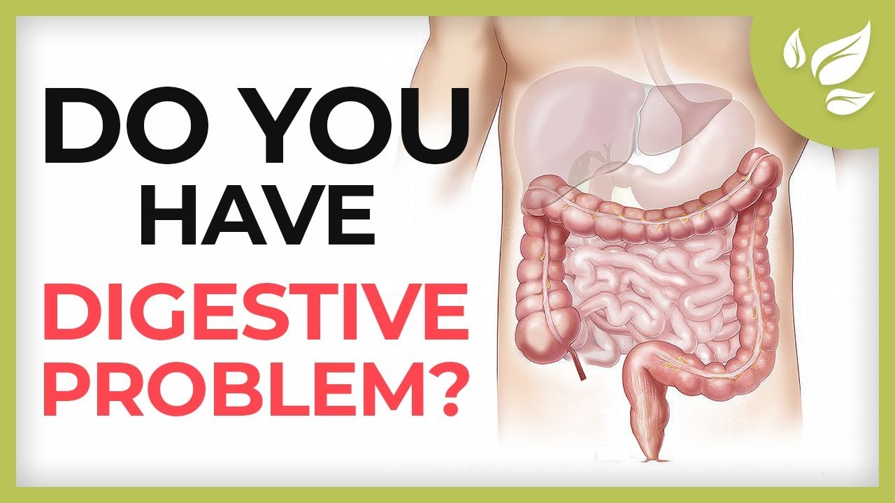 How To Improve Digestive System Naturally - YouTube
