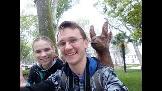 СТАМБУЛ / ТОПКАПЫ / ТУРЕЦКИЕ КАШТАНЫ СТАМБУЛ / ТОПКАПЫ / ТУРЕЦКИЕ КАШТАНЫ