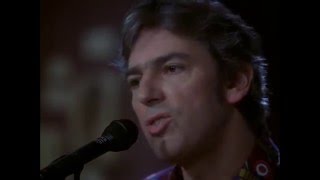 Watch Robyn Hitchcock 1974 video