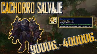 World of Warcraft|Farmeo de oro olvidado| Cachorro salvaje 9000g.-40000g./Unidad