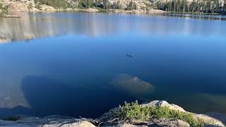 Backpack into northwest Yosemite and southwest Emigrant Wilderness (2020-07-05)