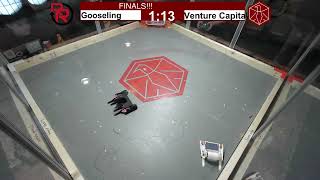 FINAL Gooseling v. Venture Capital 10/10/2026