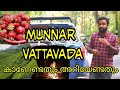 Munnar, Vattavada Full Travel Vlog | Things You Should know before visiting Munnar And Vattavada