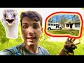 Why I Bought a Bus and Crackhouse for Animal Rescue (and Kevin)