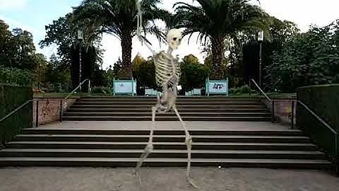 Dancing Skeleton FXGURU Spooky Scary Skeletons watch?v=q6-ZGAGcJrk