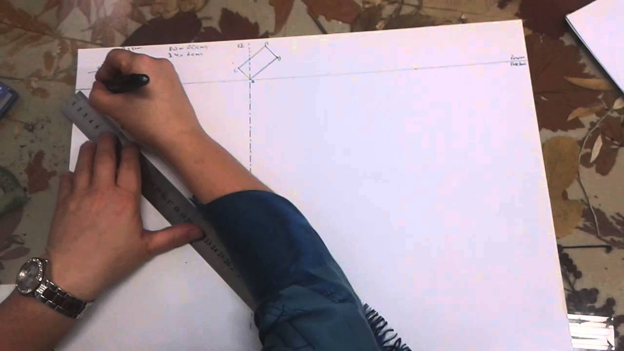 Perspektif cift kacisli vize