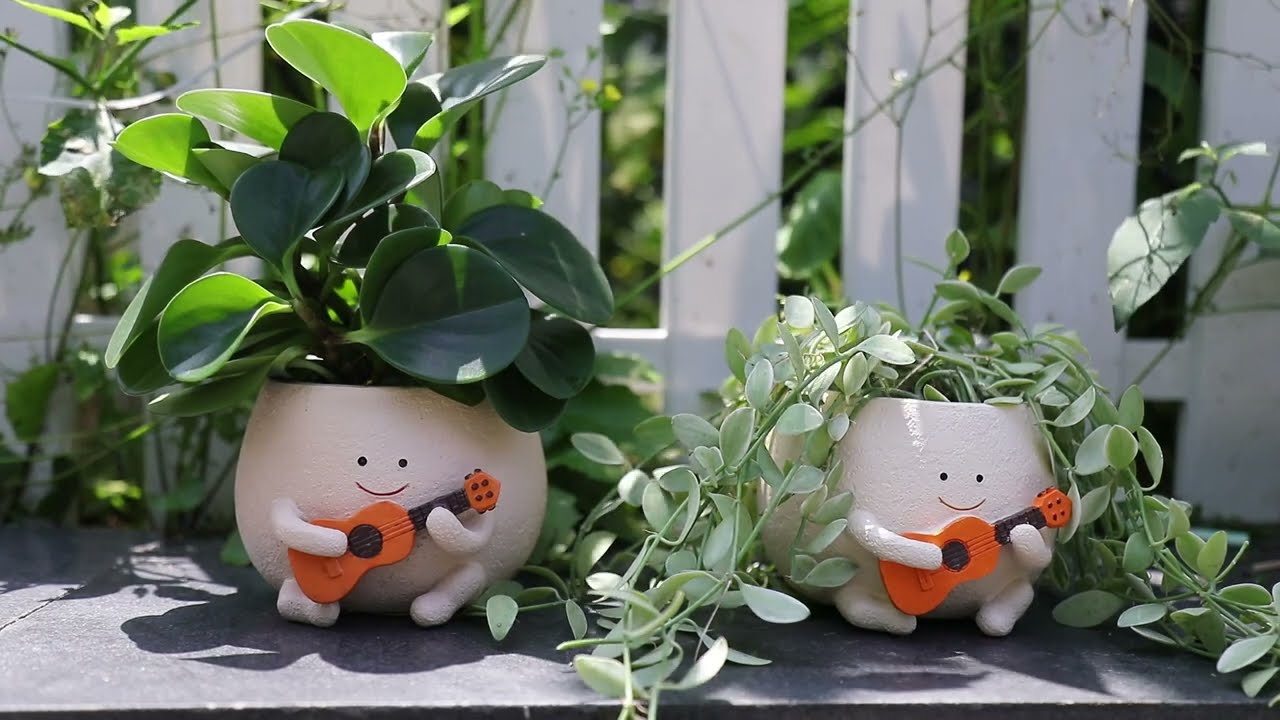Smily Face Planter Pot Drainage Hole Cute Resin Head Planters for String of Pearls Plant UMESONG