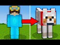 I Pranked My Friend As A Dog in Minecraft!