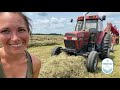 Monsterous Windrows .. making 4000 square bales in ONE FIELD! #WieczorekFarms #FarmHer