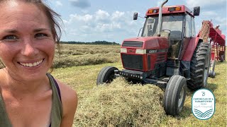 Monsterous Windrows .. making 4000 square bales in ONE FIELD! #WieczorekFarms #FarmHer