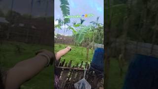 Rim jhim shorts video viral #ytshots #jinalaxmi #tripura #rain