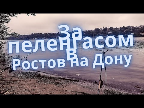 Vídeo: On Anar A Pescar A La Regió De Rostov