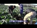簡単な穴掘り診断で収量アップ！ 農文協・3/22刊『だれにもできる　土の物理性診断と改良』宣伝用動画