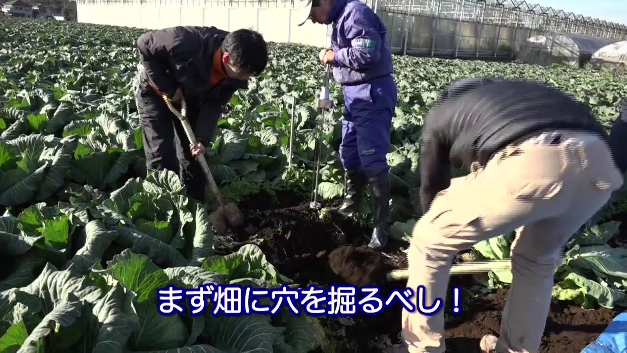 簡単な穴掘り診断で収量アップ 農文協 3 22刊 だれにもできる 土の物理性診断と改良 宣伝用動画 Youtube