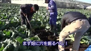 簡単な穴掘り診断で収量アップ！ 農文協・3/22刊『だれにもできる　土の物理性診断と改良』宣伝用動画