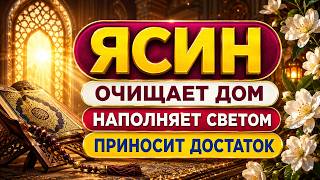 Сура Ясин — красивое чтение Корана для спокойствия души и сердца
