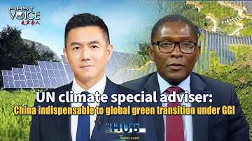 UN climate special adviser: China indispensable to global green transition under GGI
