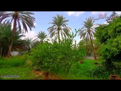 ولاية قريات حيل الغاف مناظر خلابة 20 11 2020