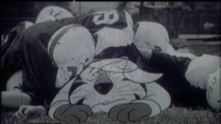 Frosties Adverts, 1960S - Film 61166