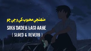 Munhije Meh Khe Wanji Chao Dadhi Lagi Aahe - Slowed Reverb Sindhi Sad Song Slowed Reverb