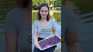 La Figasciò la focaccia con l’uva americana di Busto Arsizio