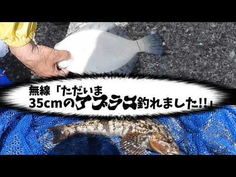 苫小牧東一本防波堤 昨日は52cmのクロ 今日は50cm超のソイ サクラマスも釣れている有料だけど優良な釣り場だった 北海道釣り情報 釣り動画 苫小牧東一本防波堤 昨日は52cmのクロ 今日は50cm超のソイ サクラマスも釣れている有料だけど優良な釣り場だった 北海道釣り情報 釣り動画
