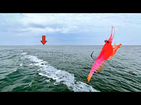 I Tossed Out This New Shrimp Jig Over This Sand Bar And Caught A Giant! [multiple Species]