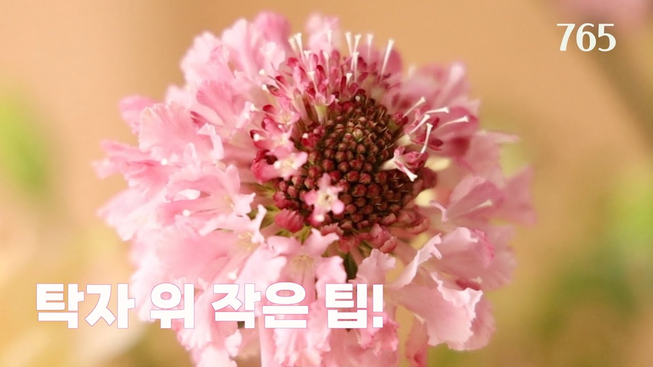 Урок по флористике 765: Создание центральной композиции из листьев в стиле «обволакивания».