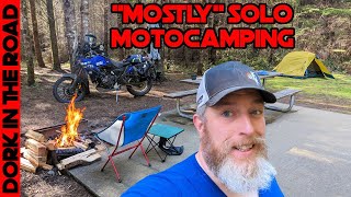 Solo Motorcycle Camping With a SPECIAL GUEST + Dodging Logging Equipment and Campfire Steak