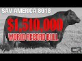 💲💲💲 $1.51 MILLION BULL WORLD RECORD BREAKING BLACK ANGUS SOLD AT AUCTION SCHAFF VALLEY ANGUS