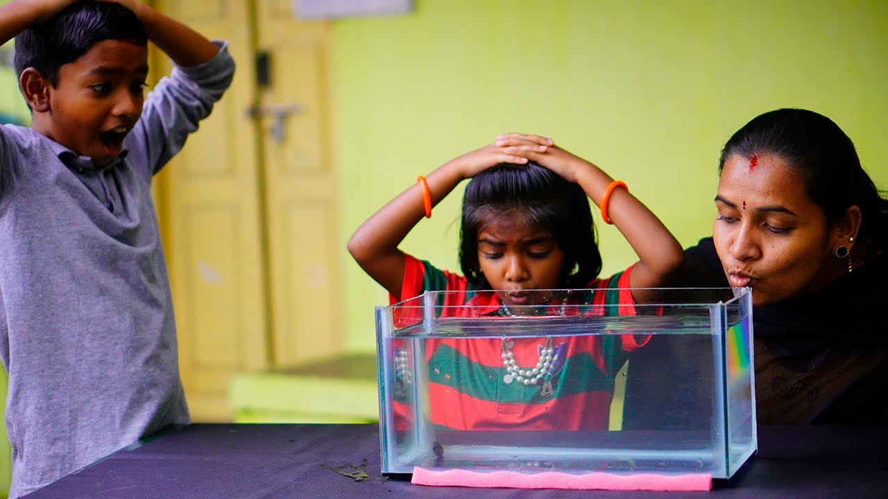 ரொம்ப நாள் கனவு இப்போதான் நடந்துடுச்சு .. அதுலயும் ஒரு சோகவும் நடந்துடுச்சு.