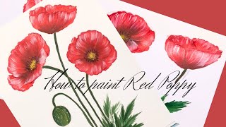 Red Poppy, How to draw & paint for beginners, Acrylic painting