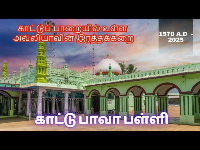 காட்டு பாவா ஃபக்ருத்தீன் ஒலியுல்லா |Kaatu Bava Fakhruddin Shaheed Oliyullah| History #nagore #dargah