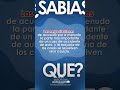 ABOGADA DE ACCIDENTE: NO VAYAS A LA CORTE TODAVÍA