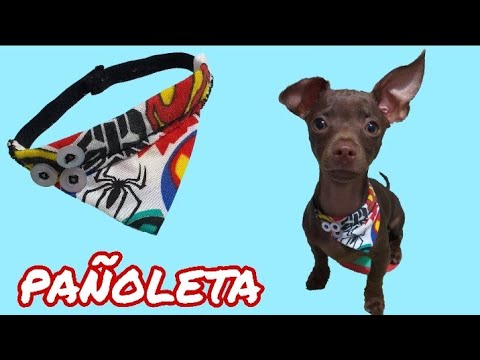pañoleta fácil para pincher - YouTube
