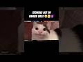 Freaking out on Ranked… #rainbowsixsiege #siegefunnyrmontage #r6siege #funnymemes #gaming