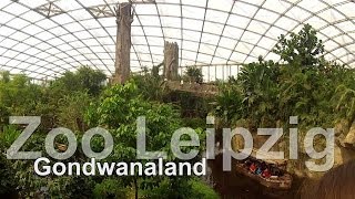 Zoo Leipzig Gondwand - Man Taucht In Eine Andere Welt