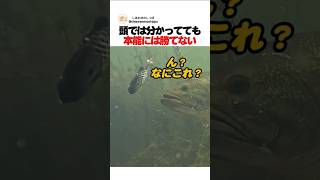頭では分かってても本能には勝てない
