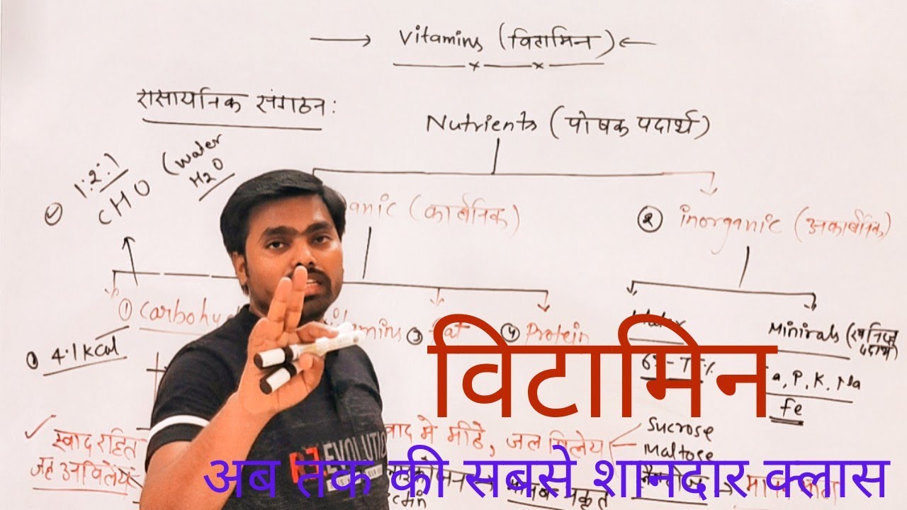 List of vitamins and their functions chemical name of vitamins