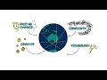 Water Polo Australia Learning & Development Framework