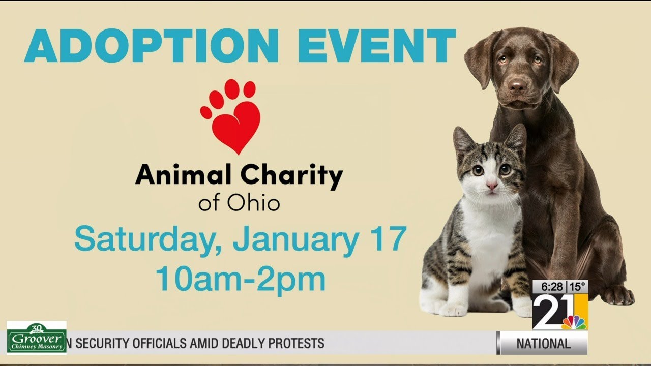 Animal Charity holding adoption event this Saturday